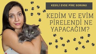 Kedim ve Evim Pirelendi Ne Yapacağım? (Pireli Vlog)