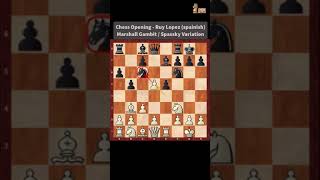 Chess Openings  Ruy Lopez Marshall Gambit 