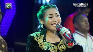 JOKO TINGKIR (NGOMBE DAWET)  DIAN ANIC ANICA NADA MALAM 17 JULI 2022 DESA SURANENGGALA CIREBON