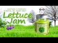 Lettuce Jam (Let us jam!) - Daba vers