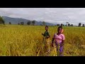 IWA LYAPI GUMHA SHAGEMBE GUVUNA BHUCHELE 