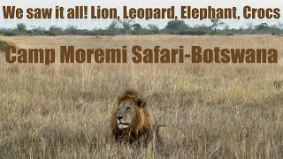 Camp Moremi  Safari Experience Botswana - Okavango Delta - Africa Part 4