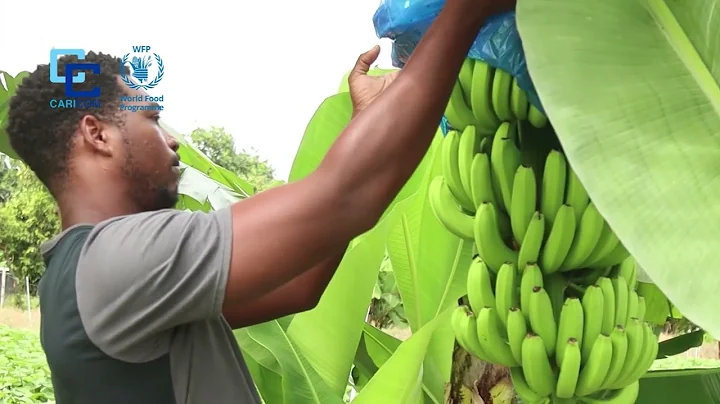 I Am Agriculture - Floyd Mathew
