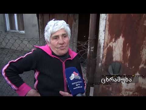 დიას მიკროფონთან- ცხრამუხა