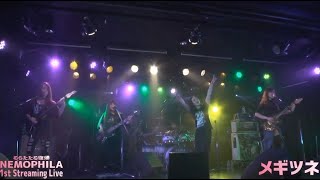 NEMOPHILA - MEGITSUNE メギツネ (Babymetal cover) - Live 2020