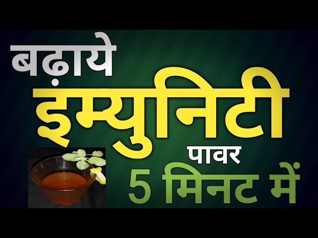 इम्युनिटी पावर को बढ़ाने वाला काढ़ा | Immunity Booster kadha | Kadha Recipe | Herbal Tea | Ayush Kadha | Nitya Kitchen
