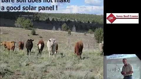 Forage Growth and Leaf Area Index