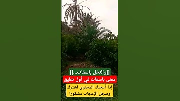 #القرآن_الكريم #اكسبلور #تلاوة_خاشعة #قرآن #راحة_نفسية #آيات_بينات #عبد_الباسط_عبد_الصمد #سورة_ق
