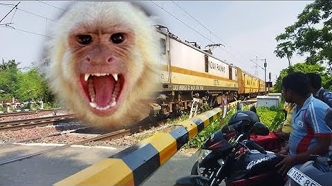 Dangerous Angry MAD MONKEY Headed Shaktipunj Express Furious Moving Out At Railgate