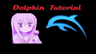 Dolphin Emulator Tutorial screenshot 2
