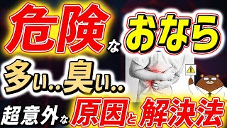 「おなら」でわかる驚きの腸内環境の変化。絶対に見逃してはいけない危険サインとは？あなたのお腹の不調の原因、腸内細菌と食べ物の関係とは。おならをなくす「低FODMAP食」って何？医師が完全解説！