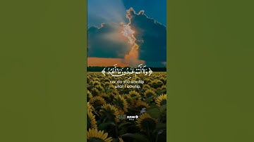 سوره الكافرون || القارئ شريف مصطفي #قرآن #quran 🌸