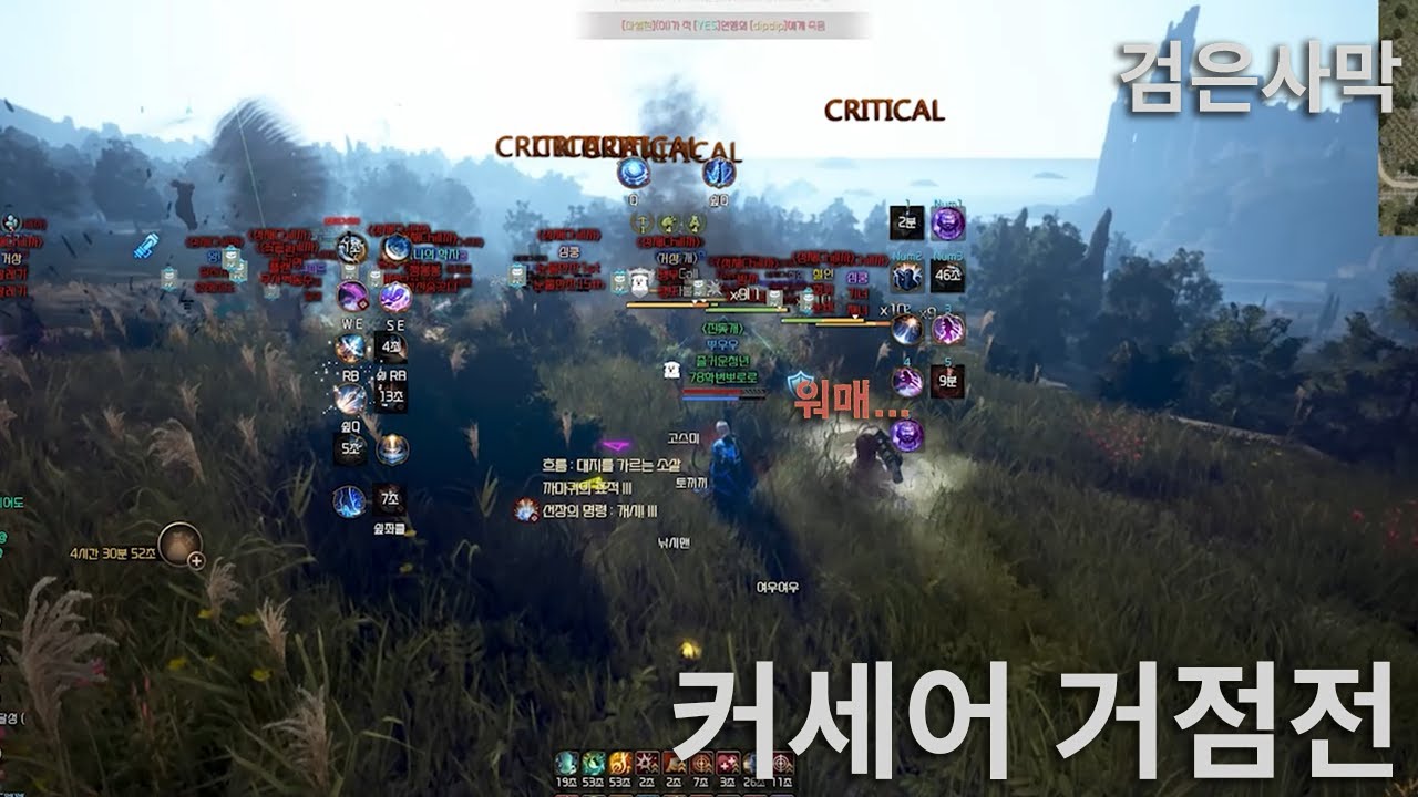 데드아이 너는 전혀 '사격'하고 있지 않아 ㅋㅋ BDO NODE WAR (CORSAIR AWAKENING) 각성 커세어 거점전