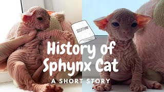 The History Of Sphyx Cat [YOU NEVER KNEW] by Sphynx Lovers 4,969 views 3 years ago 3 minutes, 5 seconds