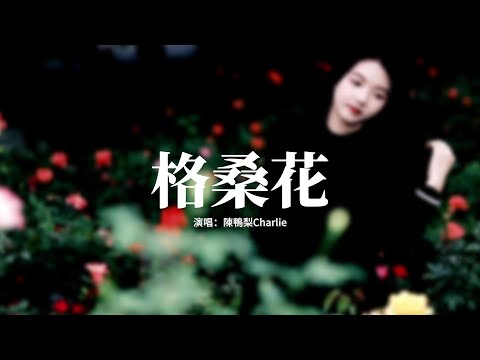 陳鴨梨Charlie - 格桑花 (等格桑花開)『我環顧人海卻發現你已不在，我卻還在原地等待，等格桑花兒開，你是否就回來。』【動態歌詞MV】