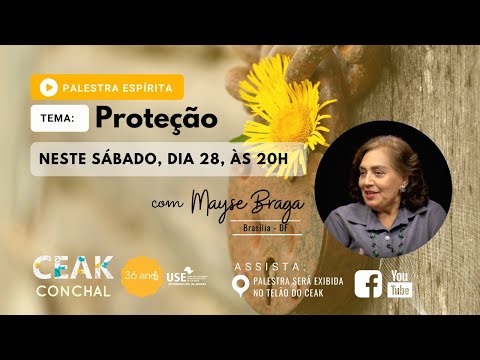 PALESTRA com MAYSE BRAGA, Brasília DF | tema: PROTEÇÃO | SAB | 28/11 | 20h