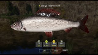 Хариус и форель на реке Белая=)