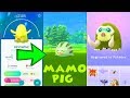 POKEMON GO SHINY SWINUB, PILOSWINE & MAMOSWINE COMMUNITY DAY