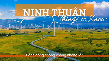 Du lịch - NINH THUẬN: Mảnh đất của nắng, gió và những điều kỳ diệu - Khám phá Việt Nam Channel