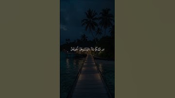 سورة المائدة #ياسر_الدوسري #ارح_قلبك #القرآن_الكريم #foryou #اكسبلور #لايك #quran #راحة_نفسية