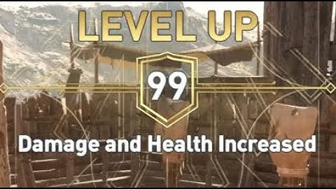 Level 99 in Assassin