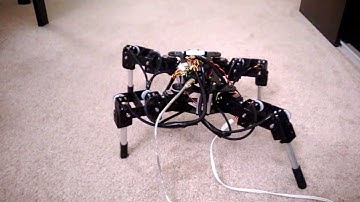 Quadruped discontinuous gaits