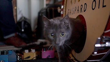 Gaspard Oil – Curious Dreams Over Melton Mowbray ⎮ Official Video