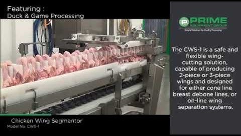 Chicken Wing Segmenter Model CWS-1 (Fixed-blade)