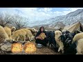 Nomadic Life | The Battle for Survival in the Cold and Snowy Zagros Mountains