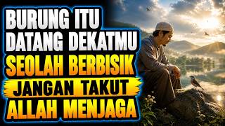 Download lagu SUNGGUH MENGGETARKAN ‼️ SAAT BURUNG BERTENGGER DI DEKATMU, ALLAH SEDANG MENGAJARKAN TENTANG REZEKI✔️