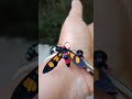 ENSEÑA A LOS NIÑOS A VALORAR ESE MUNDO INCREIBLE ...💚🌎
