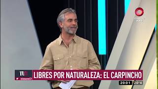 Libres X naturaleza 5 Carpincho Canal 9