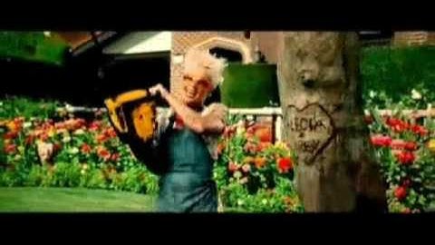 P!nk -  Bad Influence (Music Video)