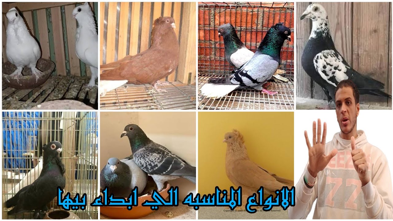 ازي ابداء اربي حمام وايه الانواع المناسبه الي ابداء بيها #شريف غاوي حمام غوزار 