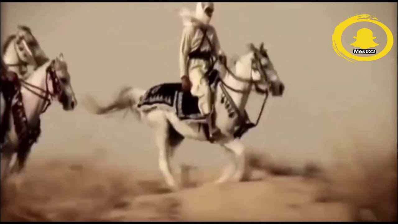 قصيدة مهداه الى الشيخ محمد بن مشعل بن حمد المغيري