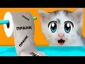 ПРАНКИ НАД КОТАМИ! КОТ МАЛЫШ И КОШЕЧКА Что делать, если скучно - 3 идеи смешных пранков над друзьями