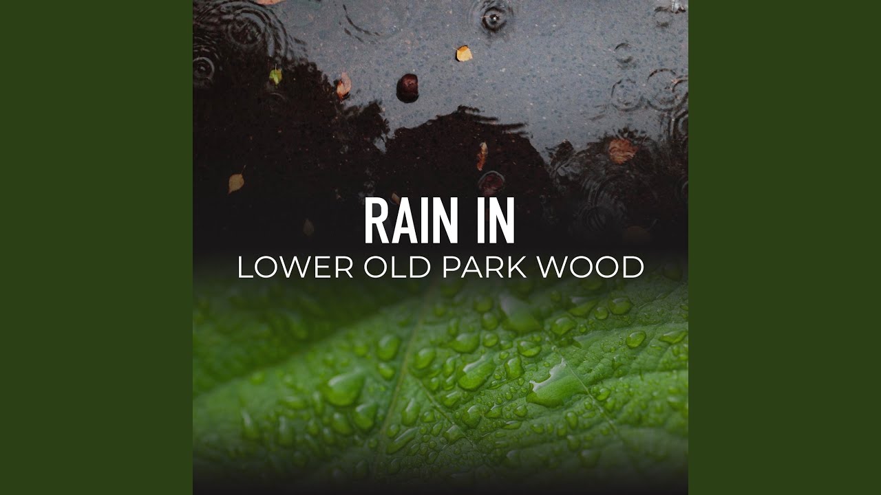 The Eshlands Wood Rain