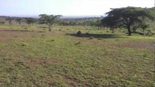 Tanzanai, Africa - Photography Tour
