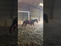 Who wants to see the mini test I did tdy while riding?? Comment it down below #horse #bighorse
