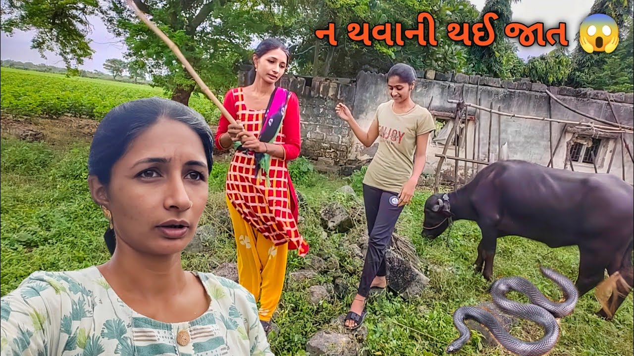 સાપ નીકળો 😱 ન થવાની થઈ જાત || R Gujju Vlog || 