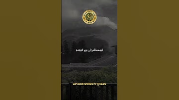 سورة الأنعام الآية 12 تلاوة الشيخ هيثم الدخين