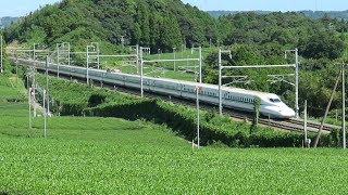 菊川茶畑を行くJR東海 東海道新幹線 N700系 2019 09