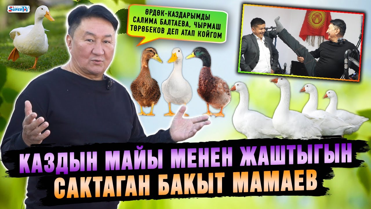 Каз-өрдөк баккан Бакыт Мамаев