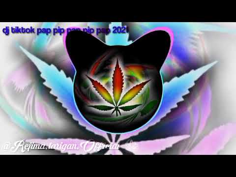 DJ tiktok terbaru pap pip pap pip pap |2022