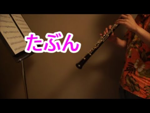 【YOASOBI】たぶんをオーボエで演奏してみた