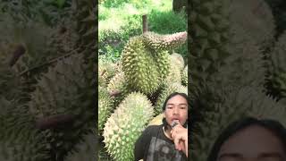 Buah durian unik #buahdurian