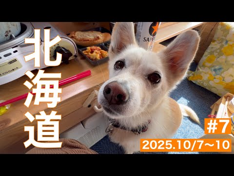 Hana and Mama's small Van Life - YouTube