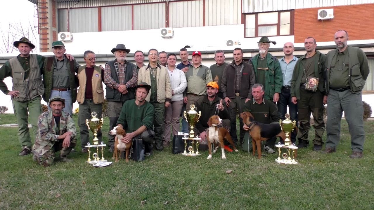 DRŽAVNO PRVENSTVO ZA GONIČE- ŠABAC 2017.
