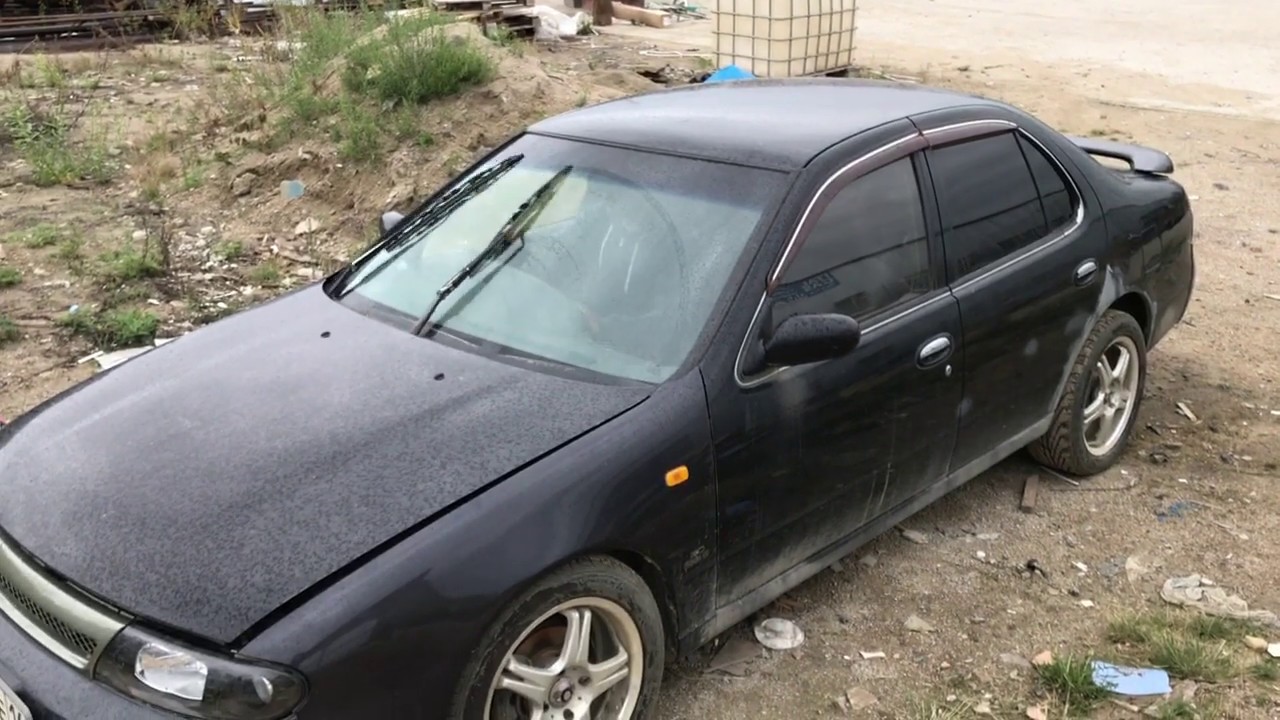 Синяя птица авто