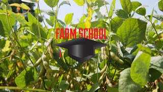 How to grow early-planted soybeans | Farm School | Successful Farming